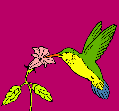 Dibujo Colibrí y una flor pintado por lasapita