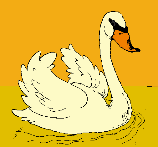 Dibujo Cisne en el agua pintado por LadronaRk