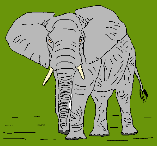 Dibujo Elefante pintado por ALEMU
