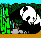 Dibujo Oso panda y bambú pintado por mateyvalen