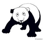 Dibujo Oso panda pintado por alii