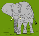 Dibujo Elefante pintado por ALEMU