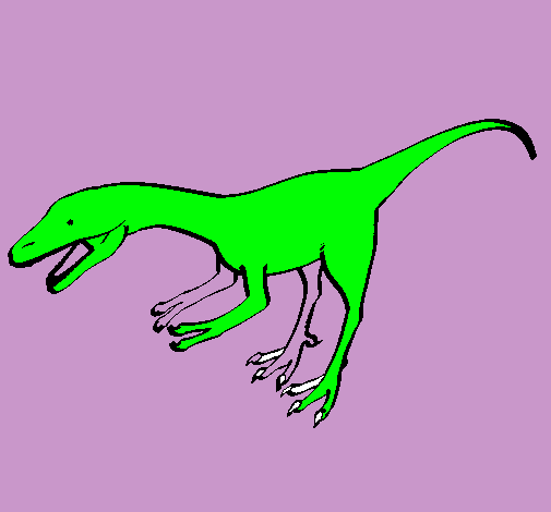 Dibujo Velociraptor II pintado por dino_dino