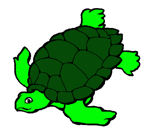 Dibujo Tortuga pintado por campanita