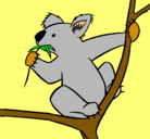 Dibujo Koala pintado por kjbhgyvtfcnb