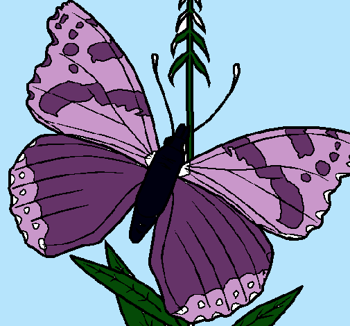 Dibujo Mariposa pintado por abriluchi