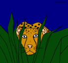 Dibujo Guepardo pintado por leopardo 