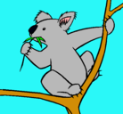 Dibujo Koala pintado por 34567890dani