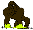 Dibujo Gorila pintado por Sophi