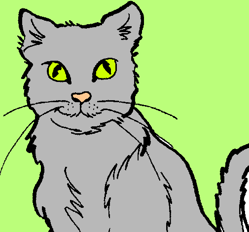 Dibujo Gato pintado por catyx