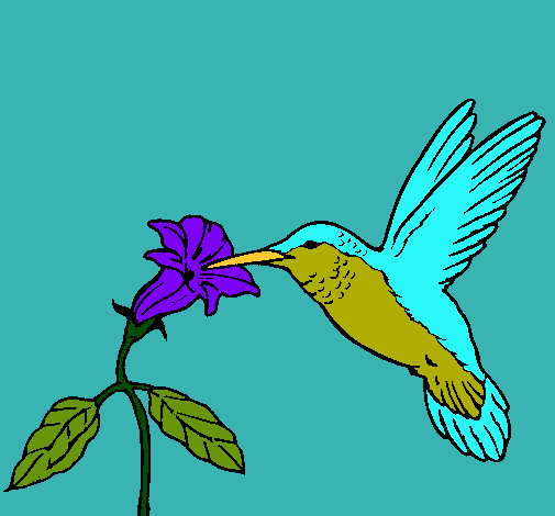 Dibujo Colibrí y una flor pintado por rayita