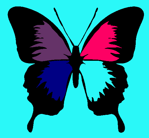 Dibujo Mariposa con alas negras pintado por nienna