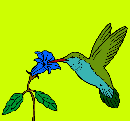 Dibujo Colibrí y una flor pintado por lurdes22