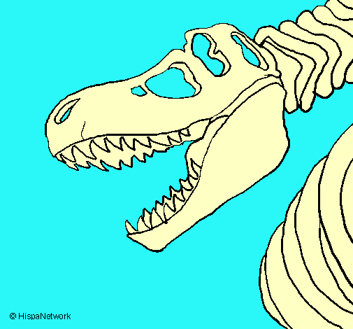 Dibujo Esqueleto tiranosaurio rex pintado por momita
