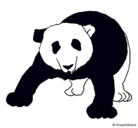 Dibujo Oso panda pintado por namy