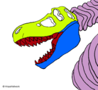 Dibujo Esqueleto tiranosaurio rex pintado por manuelj05