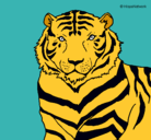 Dibujo Tigre pintado por Dapeayuso