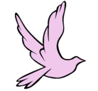 Dibujo Paloma de la paz al vuelo pintado por CHRISTIANGAG