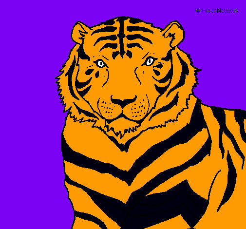 Dibujo Tigre pintado por rochi