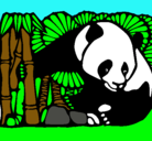 Dibujo Oso panda y bambú pintado por rochi