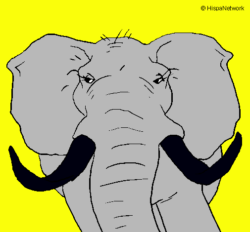 Dibujo Elefante africano pintado por dino_dino