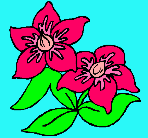 Dibujo Flores pintado por SA03