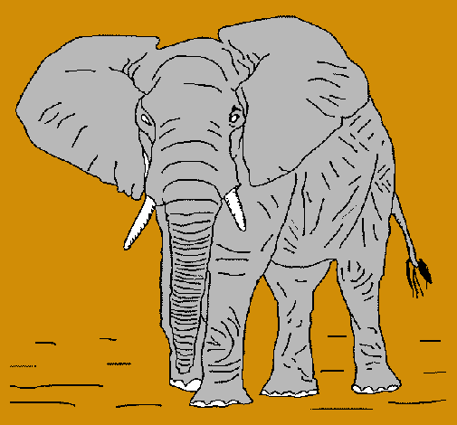 Dibujo Elefante pintado por Dapeayuso