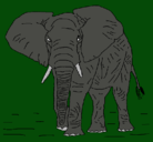 Dibujo Elefante pintado por tanilo