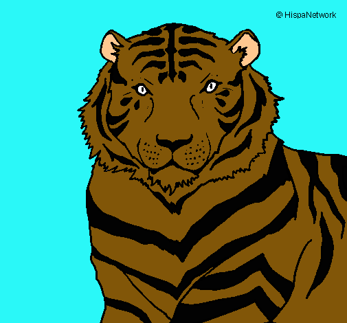 Dibujo Tigre pintado por ninG