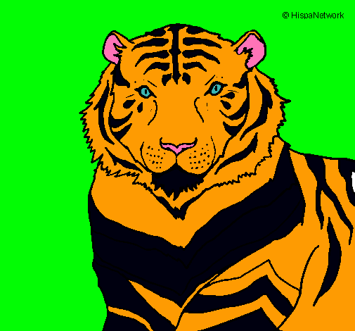 Dibujo Tigre pintado por ana433