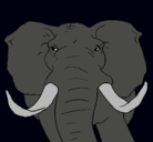Dibujo Elefante africano pintado por luciano18