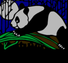 Dibujo Oso panda comiendo pintado por hggfyfhfidy