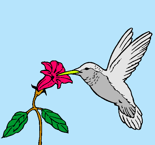 Dibujo Colibrí y una flor pintado por Marito 