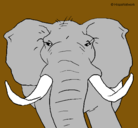 Dibujo Elefante africano pintado por sjdjbjfbjhjd