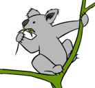 Dibujo Koala pintado por palmdan