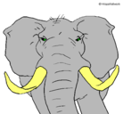 Dibujo Elefante africano pintado por GEOVANNY