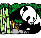Dibujo Oso panda y bambú pintado por danicastejon