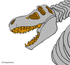 Dibujo Esqueleto tiranosaurio rex pintado por Mathirex