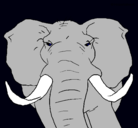 Dibujo Elefante africano pintado por HOLAAAAA