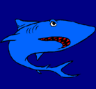 Dibujo Tiburón pintado por matrix
