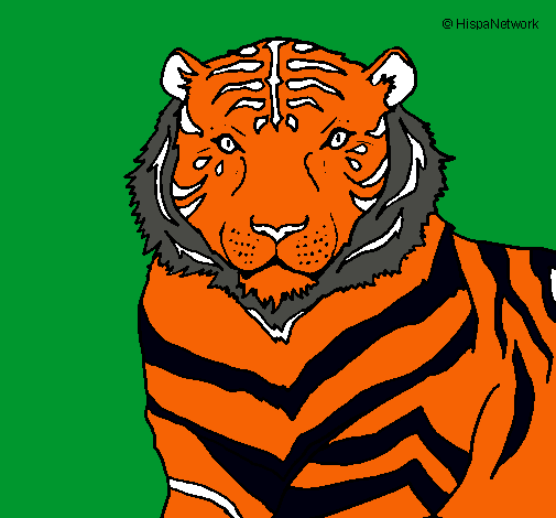 Dibujo Tigre pintado por KmiTejeda