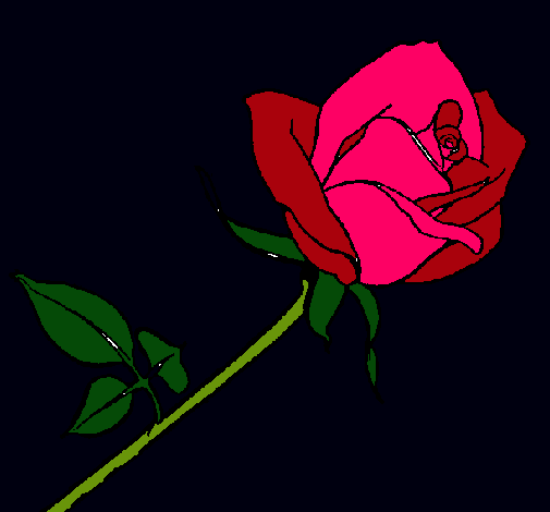 Dibujo Rosa pintado por sabiisa