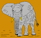 Dibujo Elefante pintado por ricky2