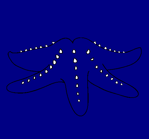 Dibujo Estrella de mar pintado por luciagonzalez