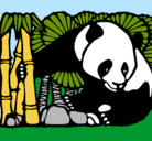 Dibujo Oso panda y bambú pintado por raquelita159