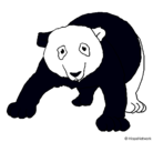 Dibujo Oso panda pintado por bianicka