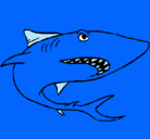 Dibujo Tiburón pintado por triana