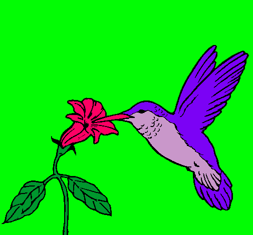 Dibujo Colibrí y una flor pintado por KmiTejeda