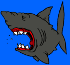 Dibujo Tiburón pintado por cibayper