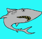 Dibujo Tiburón pintado por ricky18